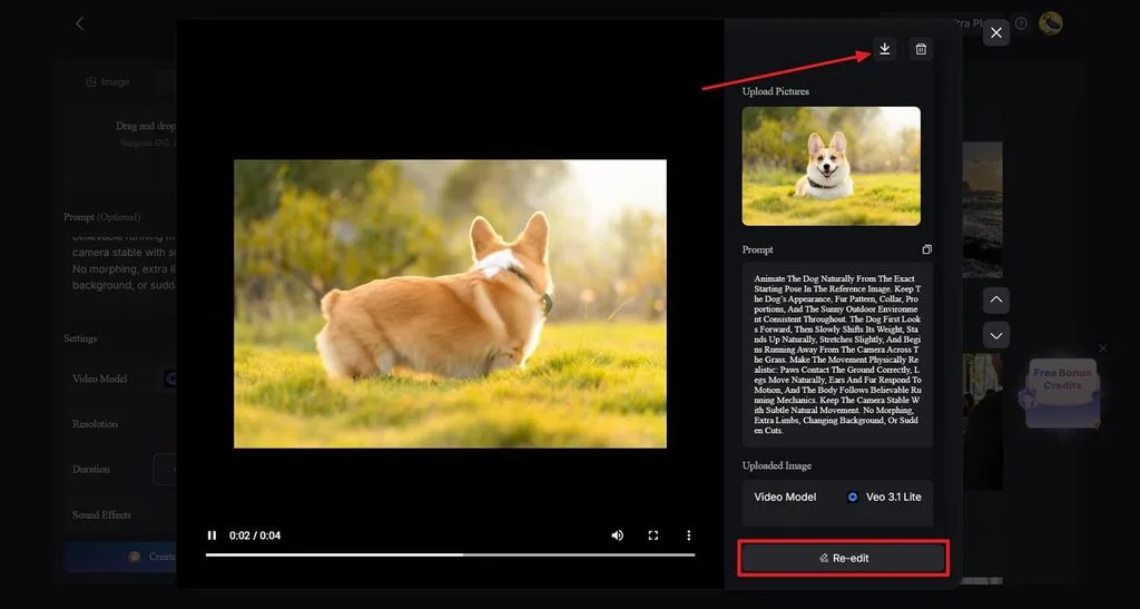 download final video magiclight