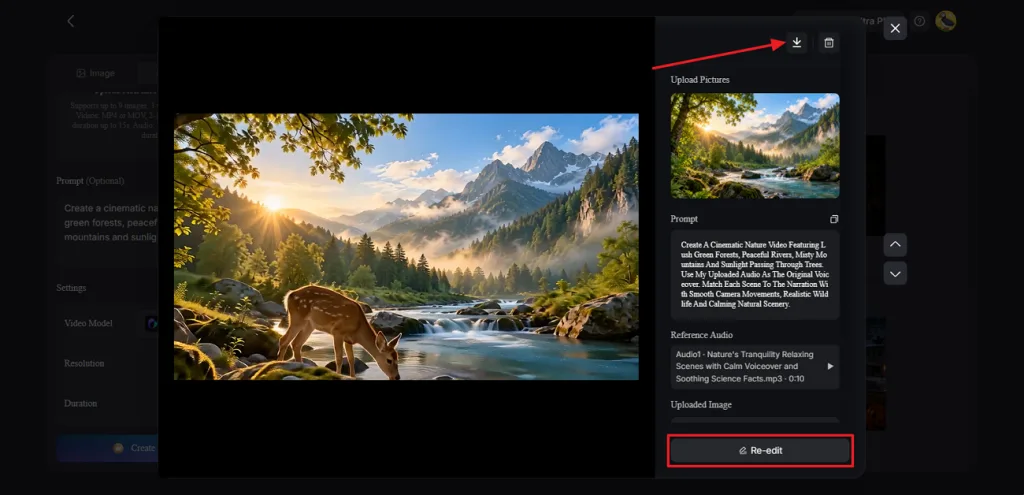 review final video before download