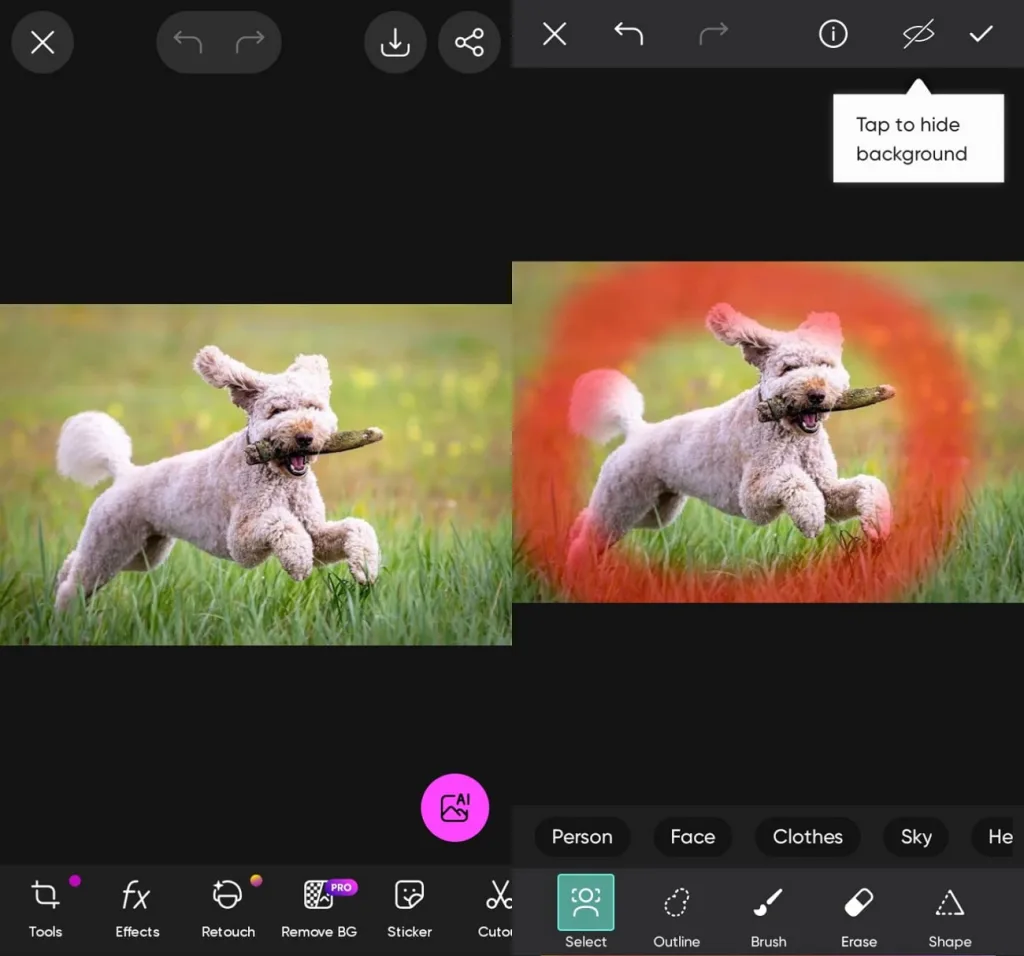 select dog subject for background editing