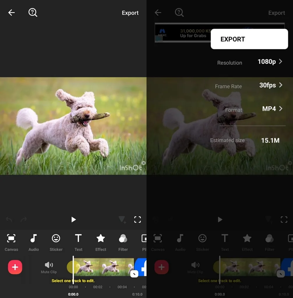 choose resolution before video export