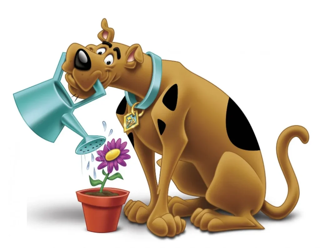 鉢植えに水をやる Scooby